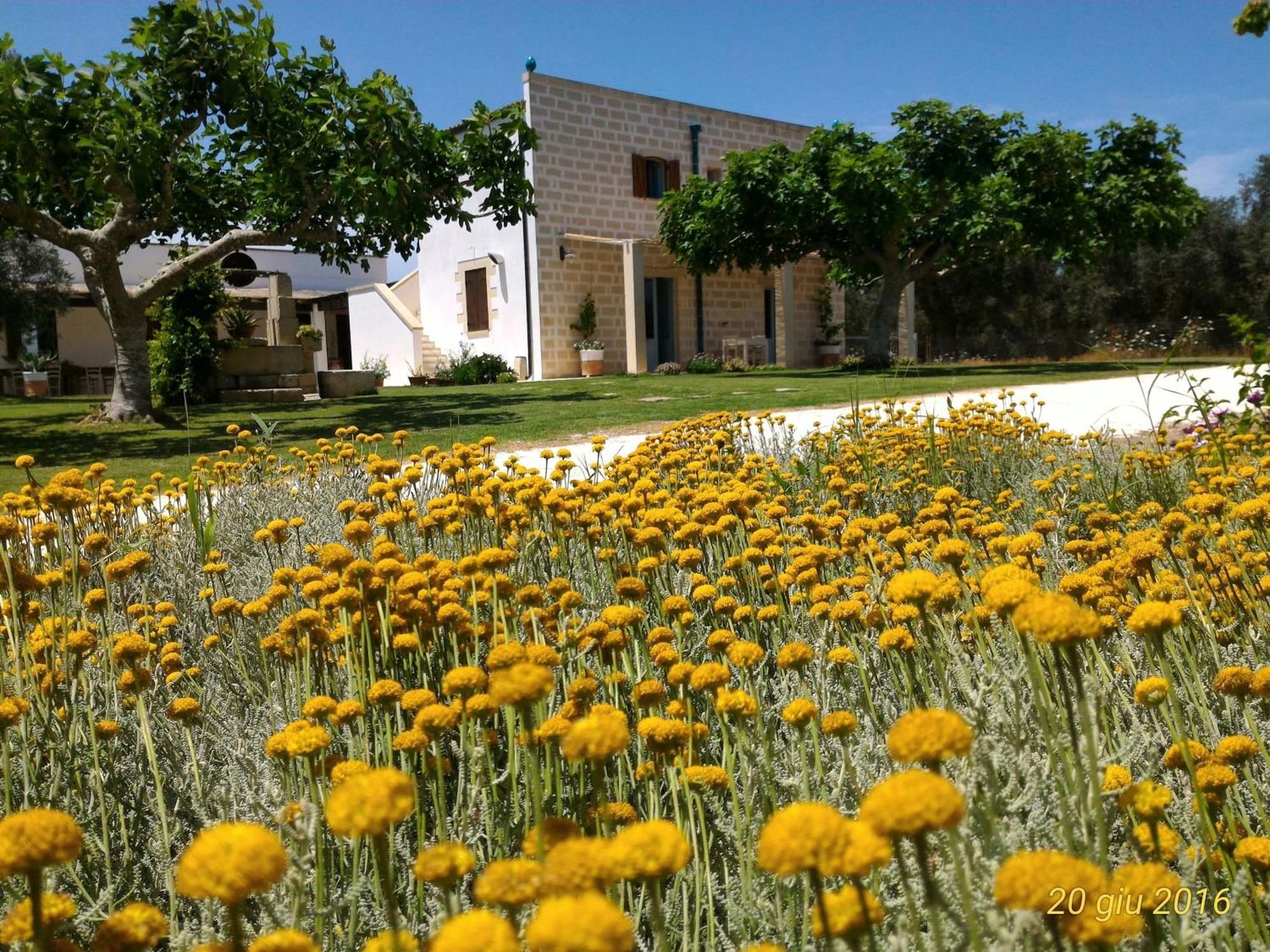 Masseria Vignenove Уджано-ла-К'єза Екстер'єр фото